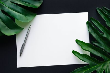 Blank white notepaper with tropical leaves laying on black table.Home office,workspace design backgrounds,flat lay,top viewの写真素材