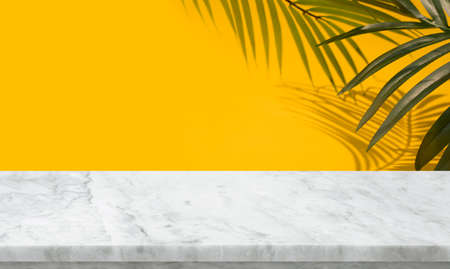 Selective focus.Nature product display with marble table counter on palm leaf color background.For key visual layoutの写真素材