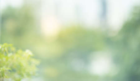Blurred of abstract glass wall with garden building background.の写真素材