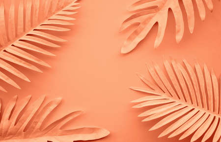 Collection of tropical leaves,foliage plant with color space background.Abstract leaf decoration design.Exotic nature for cover templateの写真素材