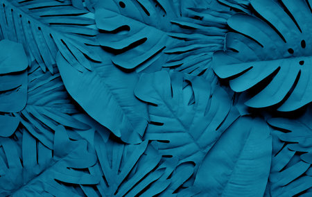 tropical leaf,leaves collection for design with dark color.creative and minimal art nature background.decorationの写真素材