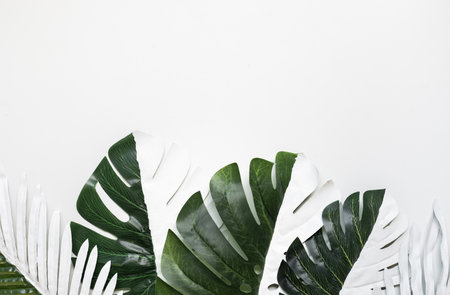 tropical leaf,leaves collection for design with pastel and mix spotted color.creative and minimal art nature background.の写真素材