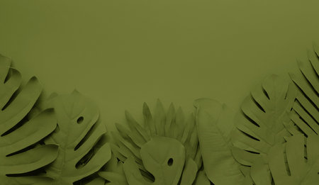 tropical leaf,leaves collection for design with dark green color.creative and minimal art nature background.decorationの写真素材