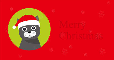 Cat sitting there to celebrate Christmasのイラスト素材