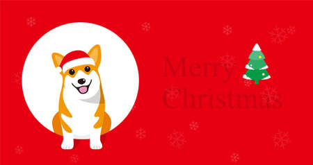 Corgi is sitting there to celebrate Christmasのイラスト素材