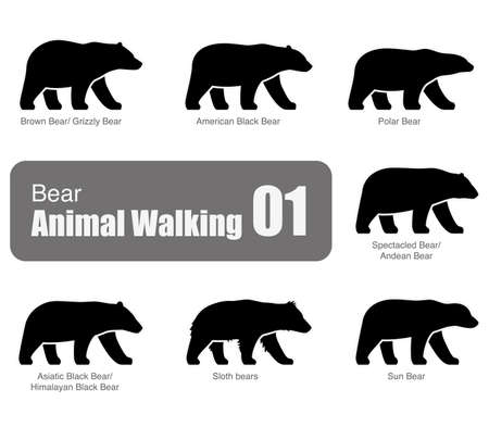 American black bear walking side flat 3D icon design, vector illustrationのイラスト素材