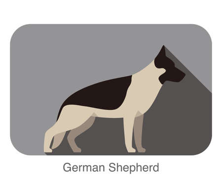 German Shepherd dog breed flat icon design, vector illustrationのイラスト素材