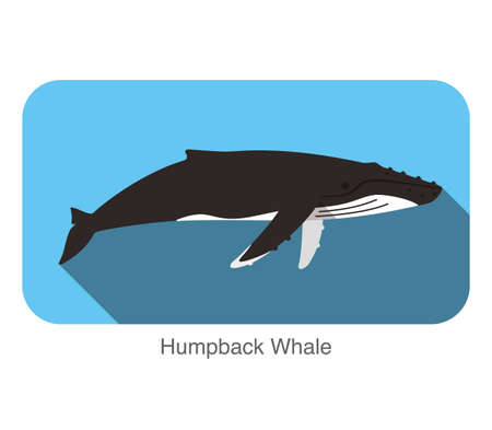 Humpback Whales swimming in the sea, animal flat iconのイラスト素材