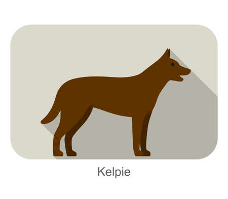 Kelpie dog standing side, walking, dog breed seriesのイラスト素材