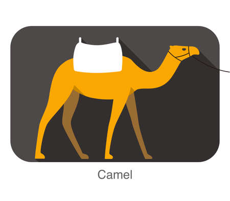 Single Camel walking on the ground, A chair on the camel's back, modern design.のイラスト素材