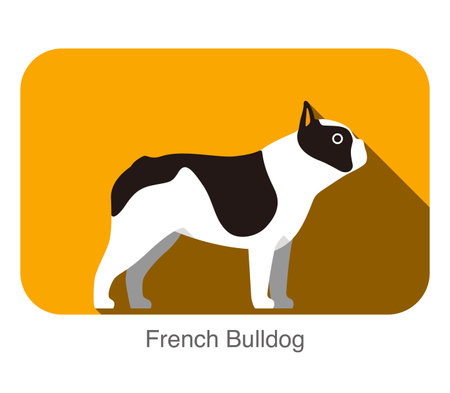 French Bulldog breed flat icon design, vector illustrationのイラスト素材