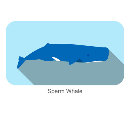 Sperm whale swimming in the sea flat icon design, vector illustrationのイラスト素材