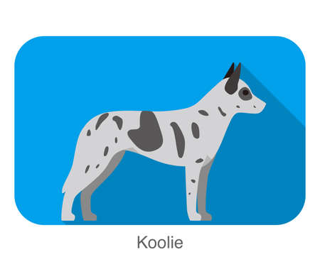 Koolie dog standing side, walking, dog breed seriesのイラスト素材