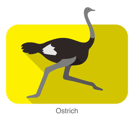 Ostrich running, animal body series, vectorのイラスト素材