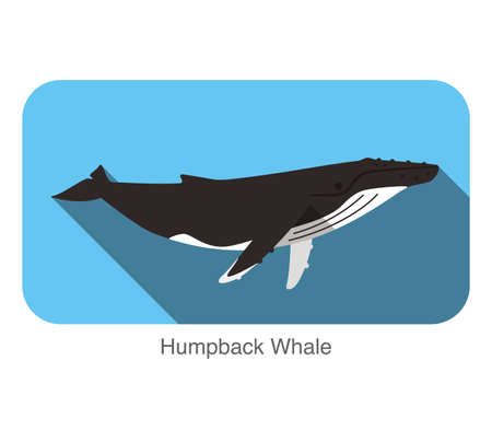 Humpback Whales swimming in the sea, animal flat iconのイラスト素材