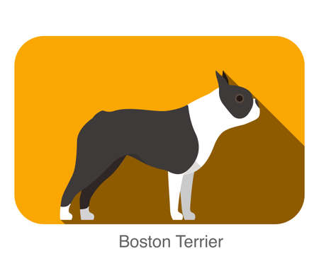 Boston terrier breed dog standing on the ground, side, dog cartoon image seriesのイラスト素材