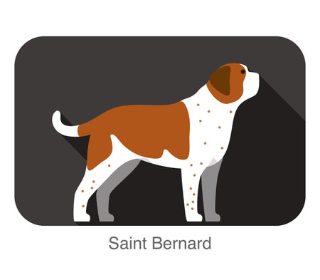 Saint Bernard dog body flat icon design, vector illustrationのイラスト素材