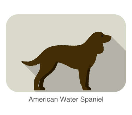American water spaniel breed dog standing on the ground, side, dog cartoon image seriesのイラスト素材