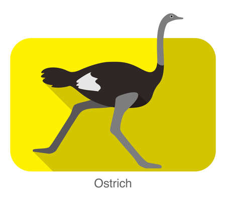Ostrich running animal body series, vectorのイラスト素材
