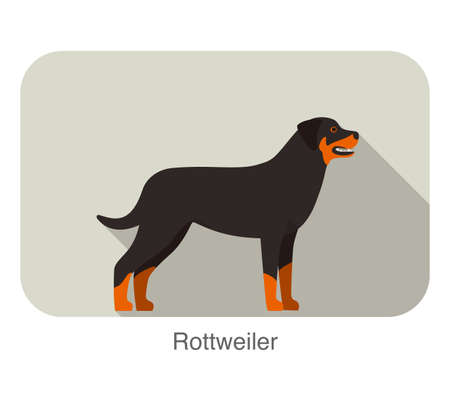Rottweiler breed dog standing on the ground, side, dog cartoon image seriesのイラスト素材