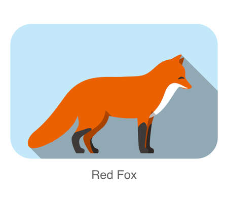 Red fox cartoon standing, illustration vectorのイラスト素材