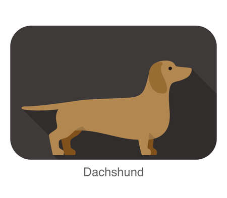 Dachshund Breed dog standing on the ground, side, dog cartoon image seriesのイラスト素材