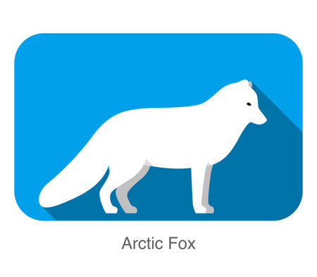 White Arctic fox standing, illustration vectorのイラスト素材