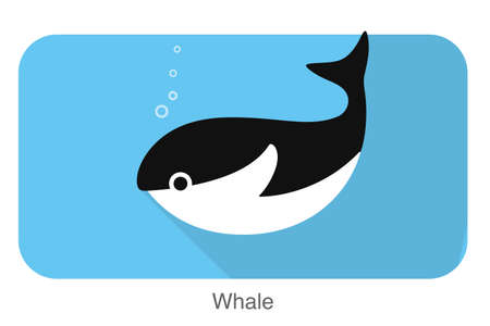 whale under the water, vectorのイラスト素材