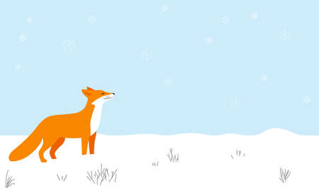 Red fox walking on the snow, smell the airのイラスト素材