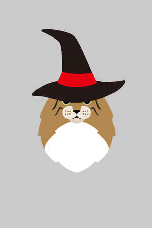 Witch cat wear a hat, Fashion portrait of catのイラスト素材
