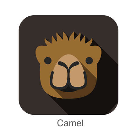 Camel animal ui flat designのイラスト素材