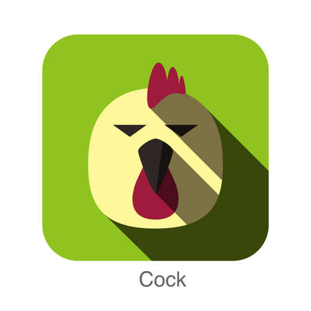 Cock bear face flat icon design. Animal icons series.のイラスト素材