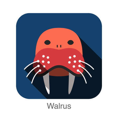 Walrus animal face flat designのイラスト素材