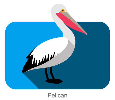 Pelican flat icon design, bird seriesのイラスト素材