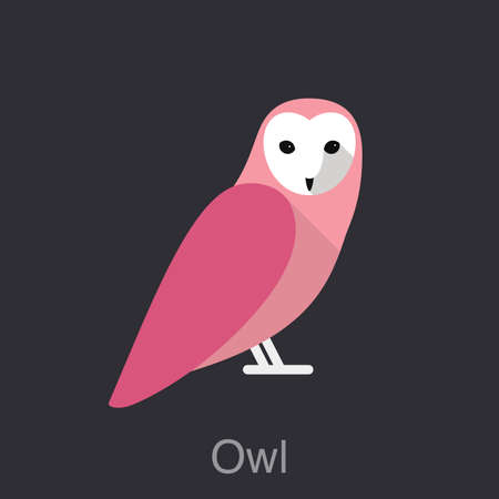 Owl face front , bird series user interfaceのイラスト素材