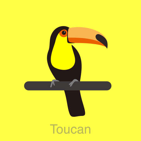 Toucan bird standing on a branchのイラスト素材