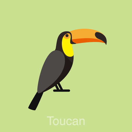 Toucan bird series, vector flat iconのイラスト素材