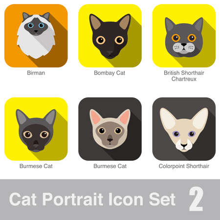 Cat breed face cartoon flat icon design Birman, Bombay Cat, Burmese Cat, Burmese Cat, British Shorthair, Chartreux, Colorpoint Shorthairのイラスト素材