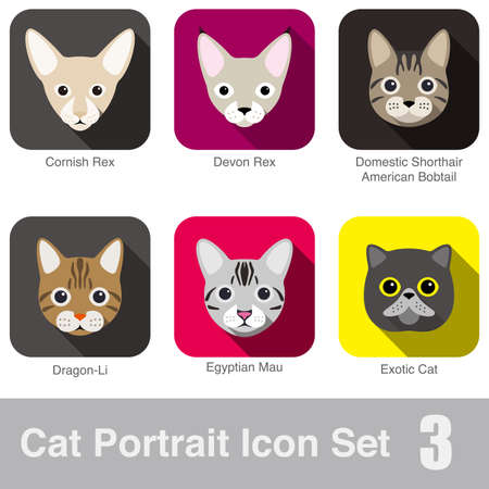 Cat breed face cartoon flat icon design Devon Rex, Egyptian Mau, Exotic Cat, Domestic Shorthair, American Bobtail, Cornish Rex, Dragon-Liのイラスト素材