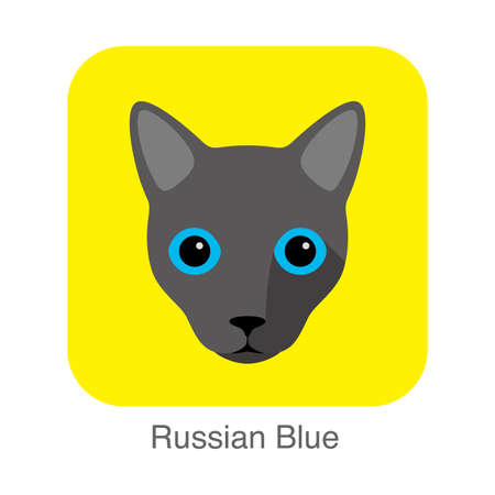 Russian Blue, Cat breed face cartoon flat icon designのイラスト素材