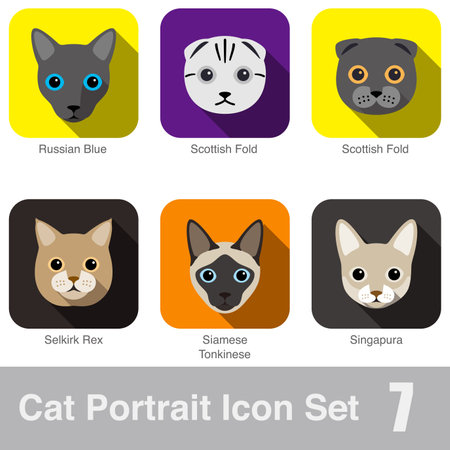 Cat breed face cartoon flat icon design Scottish Fold, Scottish Fold, Singapura, Siamese, Tonkinese, Selkirk Rex, Russian Blueのイラスト素材