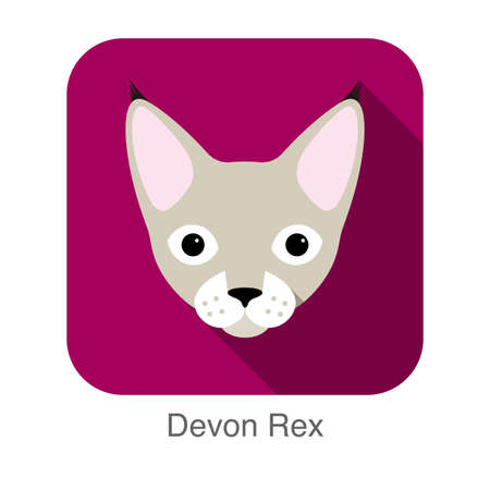 Devon Rex, Cat breed face cartoon flat icon designのイラスト素材