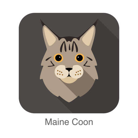 Maine Coon, Cat breed face cartoon flat icon designのイラスト素材