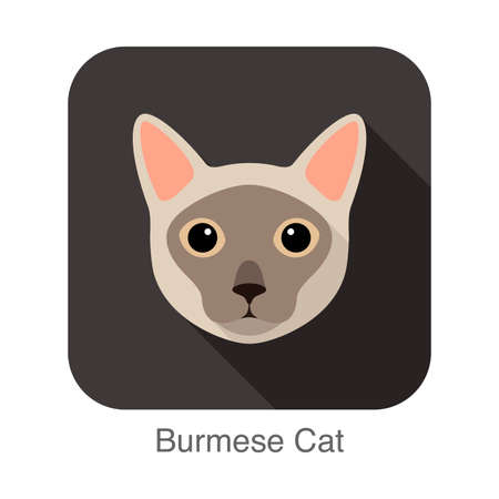 Burmese Cat, Cat breed face cartoon flat icon designのイラスト素材