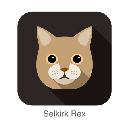 Selkirk Rex Cat, Cat breed face cartoon flat icon designのイラスト素材