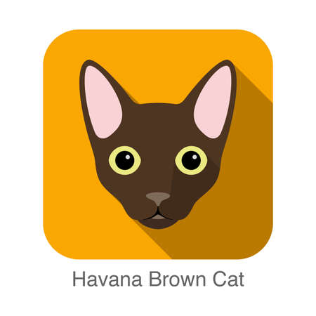 Havana Brown Cat, Cat breed face cartoon flat icon designのイラスト素材