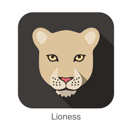 Lion, Cat breed face cartoon flat icon designのイラスト素材