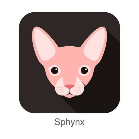 Sphynx, Cat breed face cartoon flat icon designのイラスト素材