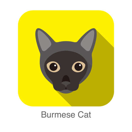 Burmese Cat, Cat breed face cartoon flat icon designのイラスト素材