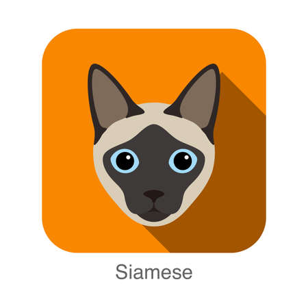 Siamese, Cat breed face cartoon flat icon designのイラスト素材